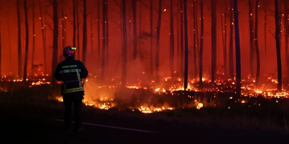 Пожежі у Франції: 27 липня в Парижі дві кризові наради — МВС і Берсі