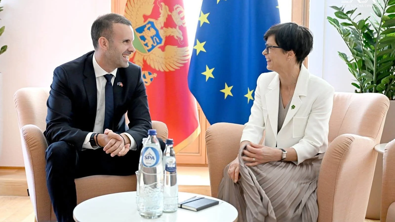 Чорногорія: п’ять країн переводять на візовий режим — ключові дати та цифри