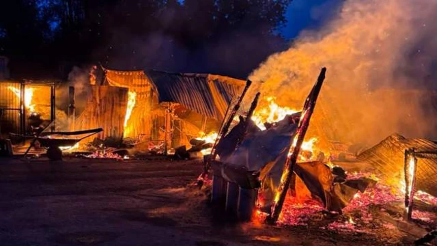 Хто реагував на пожежу в притулку «Сіріус» на Київщині: ролі установ