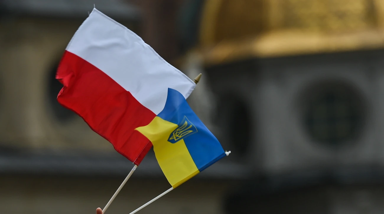 Опитування IBRiS: 67,2% поляків підтримали депортацію українських чоловіків без роботи